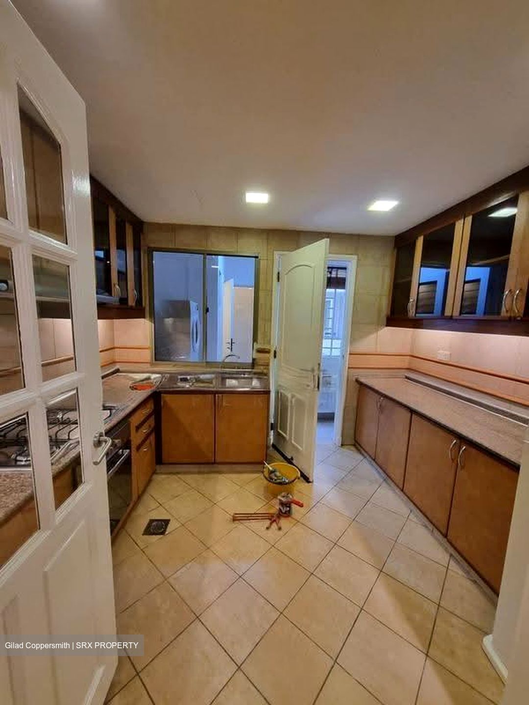 Cavenagh Lodge (D9), Apartment #621781001